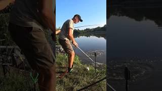 ДУПЛЕТ - амур, товстолоб  #рибалка #товстолоб #fishing