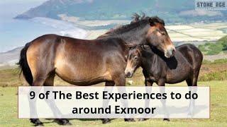 9 of The Best Experiences to do around Exmoor National Park