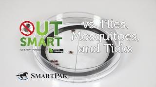 OutSmart® Fly Spray vs Flies, Mosquitoes, and Ticks