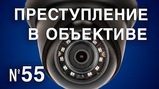 Вызов 02  Преступление в объективе №55