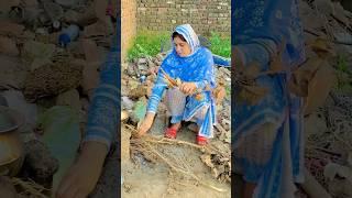 Making tea special in desi mahool by village girl #villages #villagelife #village #tractor #cow