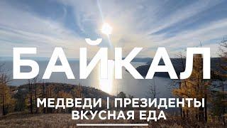 БАЙКАЛ | МЕДВЕДИ | ПРЕЗИДЕНТЫ что их связывает? #байкал #листвянка #медведи #президентсша