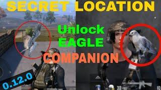 HOW TO GET EAGLE COMPANION IN PUBG MOBILE || SECRET LOCATIONS IN MAPS || 0.12.5 UPDATES NEW FEATURES