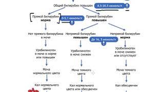 Как быстро решить задачу на желтухи? Алгоритм определения желтухи