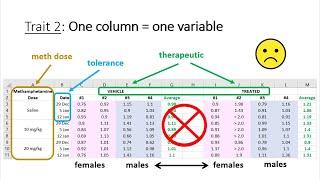 7 Traits of Tidy Data