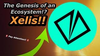 Xelis Network!! The Early Stages of a DeFi Ecosystem!?!