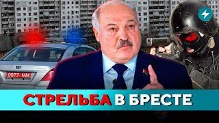 Шокирующее происшествие! Кто пострадал? Новые условия пересечения границы // Новости Беларуси