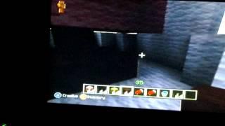 Minecraft en de naakt vrouw