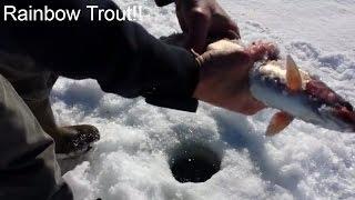 Ice Fishing... Best Trout Action