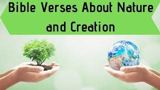 Bible Verses About Nature And Creation