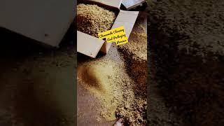 German Chemomile Cleaning And Packaging Process #chemomilefarming #chamomile #chamomiletea