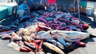 3,500lbs of FISH - *5 Days* at Sea