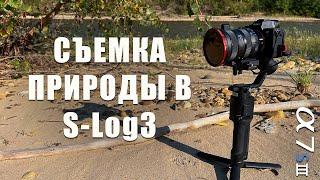 Съемка природы в S-Log3 | Sony A7S iii + Sigma f2.8 24-70 Art