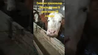 Манзил Андижонда. олтинкул туман тел:+998905438353  каналга обуна ва лайк босиб куйинг