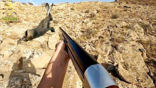 TAVŞAN VE TAHTALI AVI (YENİ SEZON 2022-2023) HARE HUNTİNG PİGEON HUNTİNG صيد الأرنب #harehunting