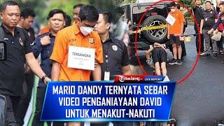  Keterlaluan, Mario Dandy Ternyata Sebar Video Penganiayaan David untuk Menakut-nakuti