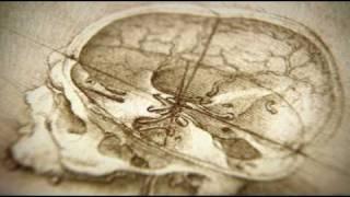 Part 1 of 2: BBC - The Beauty of Diagrams: Vitruvian Man