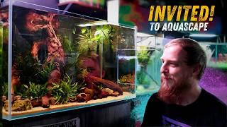 My aquarium is now in an Aquascaping store!!! The Aquatic store Bristol.