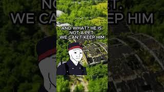 The Bear Who Became a Soldier ️