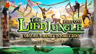 Zoo Tours: The Lied Jungle | Omaha's Henry Doorly Zoo (PART ONE)