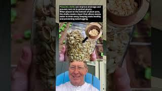 Pistachio Shells Can Improve Drainage and Prevent Root Rot in Potted Plants.