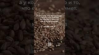 Евангелие от Матфея 13:10-13 в современном переводе #библия #biblevision