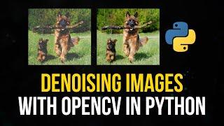 Denoising Images with OpenCV in Python