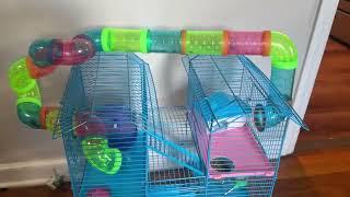 PawHut 18.5” 5 Tier Hamster Cage Review