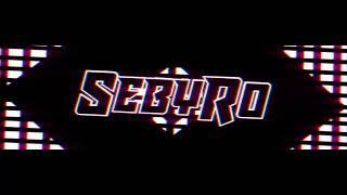 Intro pentru SebyRo