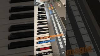 Roland JX8P / Zeta Bosio