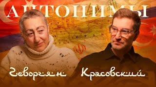 Каринэ Геворгян: конфликт в Сирии, будущее Турции и всего Ближнего Востока | Антонимы  