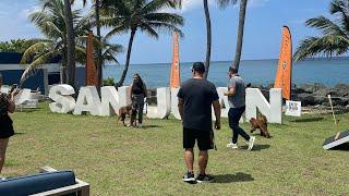 2023 San Juan , PR Vlog! Bacardi Mixology Class, Bio Bay Kayaking, La Placita & soo much more!!