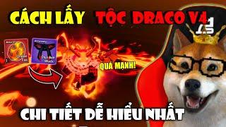 Cách Thức Tỉnh Tộc Rồng DRACO V4 Nhanh Nhất Trong Blox Fruits UPDATE DRAGON | Roblox