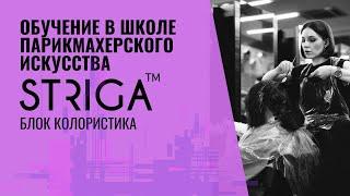 Обучение в школе парикмахерского искусства STRIGA ™. Блок "Колористика"