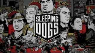 Sleeping Dogs,НЕБОЛЬШОЙ ВИДЕО-ФОТО КЛИП!