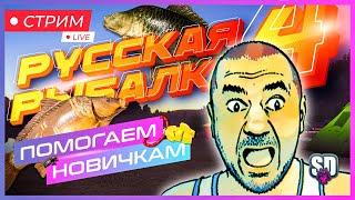 Русская Рыбалка 4 *Помогаем, Ловим, Фармим и Закрываем :)*