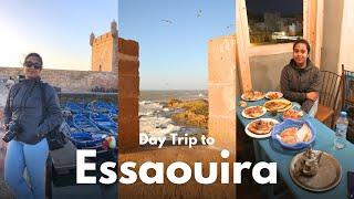 Day 6: Essaouira | 9 Days in Morocco | Travel Vlog | Things to do in Essaouira