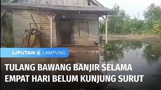 Tulang Bawang Sudah 4 Hari Banjir Tak Kunjung Surut | Liputan 6 Lampung