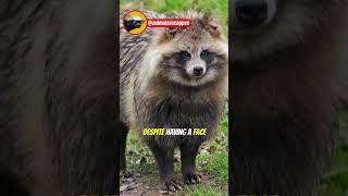 3 Bizarre Animals You've Never Heard Of