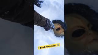 I found the alien's head under the ice! 