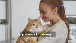 The ultimative Guide to House Cats: Everything you need to know