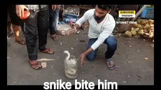 Russell viper bites a man in Maharashtra || Most venomous snake in india || #safetyfirst