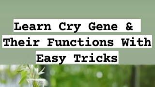 Cry Gene Tricks of Biotechnology | Mnemonics of chapter Biotechnology |