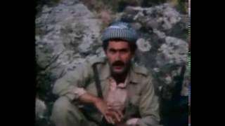 The Iran - Iraq war 1980-1988