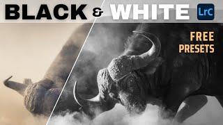 Create Moody Black & White Wildlife Photos in Lightroom | FREE Lightroom Presets