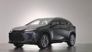 2022 Lexus NX Facelift - Exterior, Interior Design