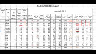 Результат уборки пшеницы с междурядьем 57, 38, 19 см.