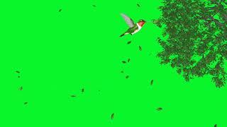 leaves falling green screen video || Tree leaf effect green screen