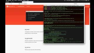 Install Angular CLI with Node JS Mac OS