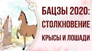 БАЦЗЫ 2020:  Так ли страшно столкновение Лошади и Крысы в 2020 году?